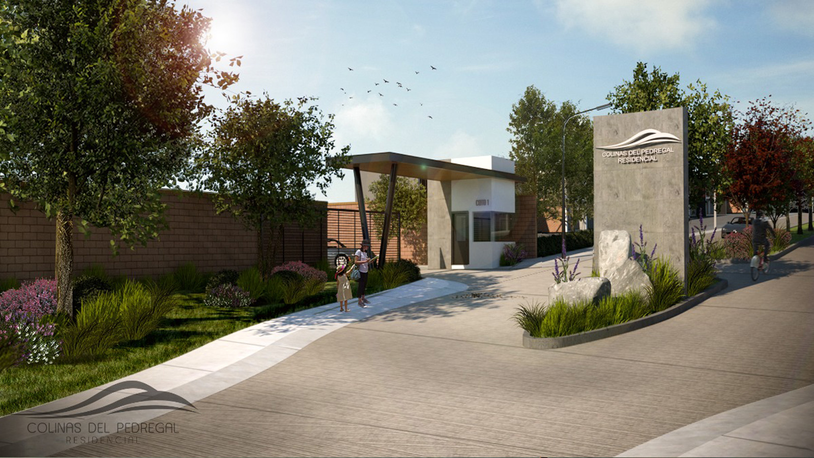 colinas del pedregal