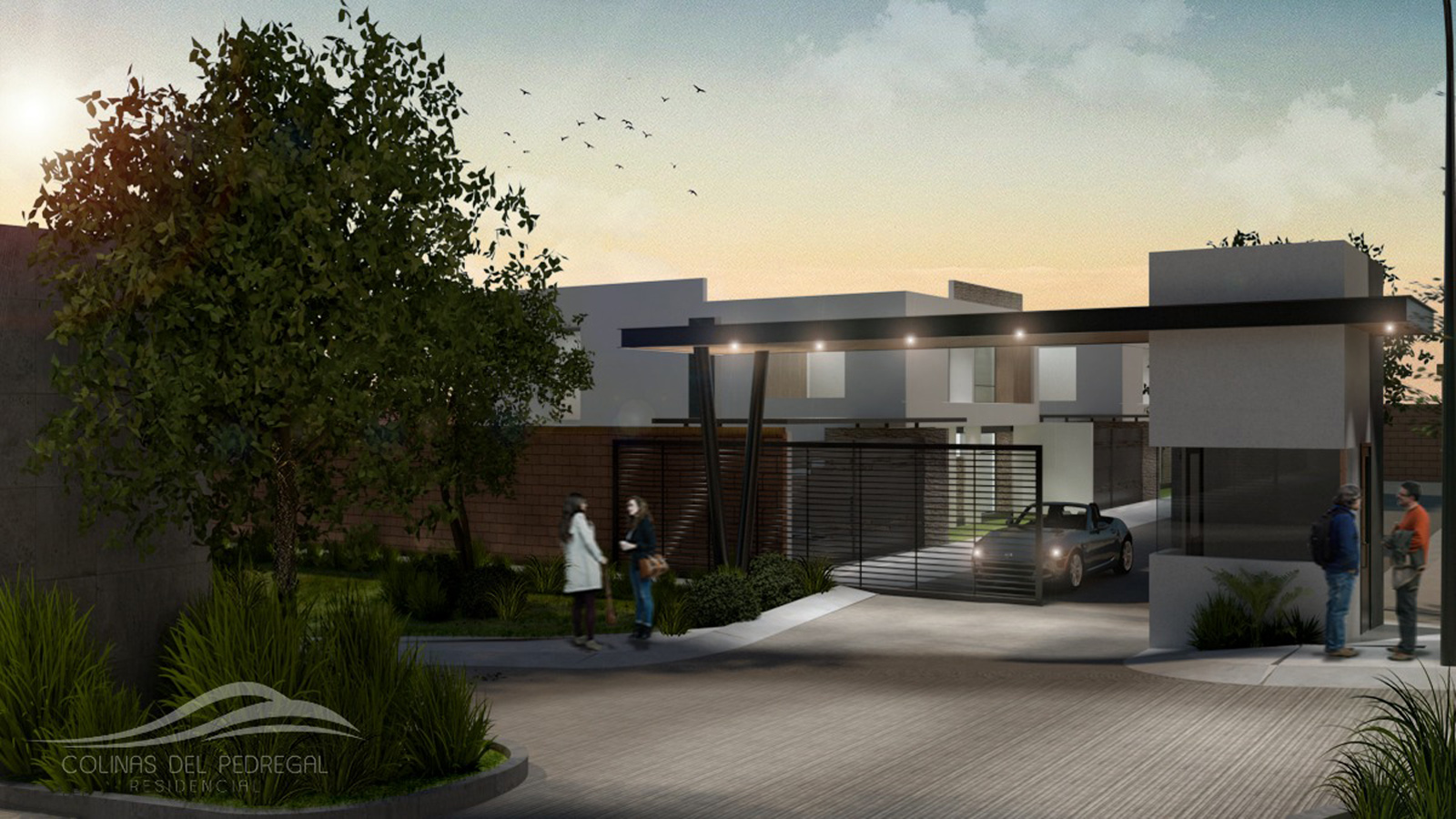 colinas del pedregal