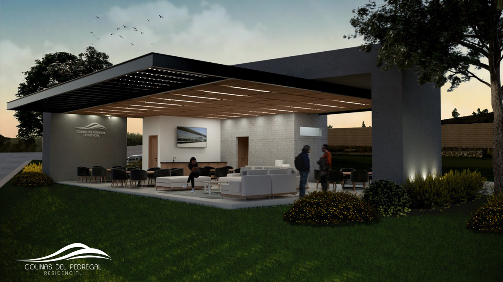 colinas del pedregal